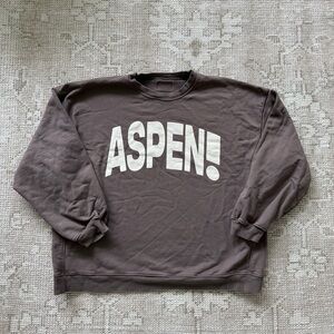 Daily Drills Aspen! Oversized Crewneck Sweatshirt in Mocha - XS S